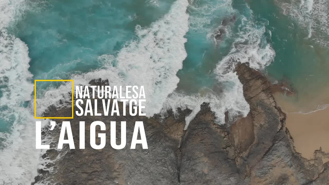 L'aigua: l'enemic de la humanitat
