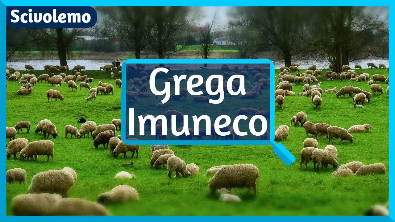 Kio estas grega imuneco?