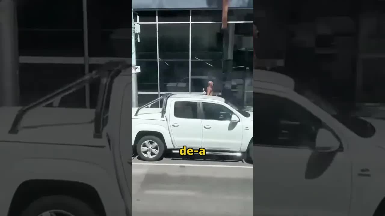 Bărbatul care a fugit după tramvai
