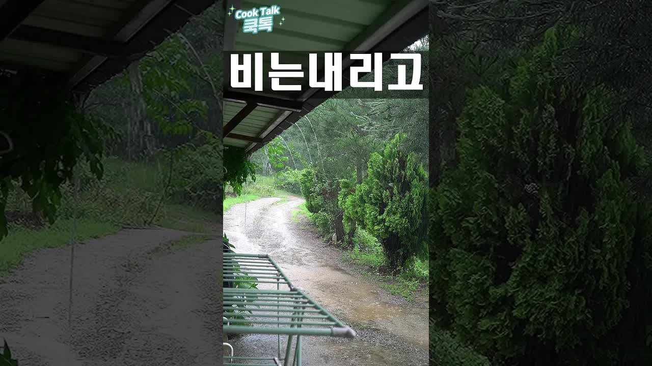 폭우 후 집안 피해와 일상 기록