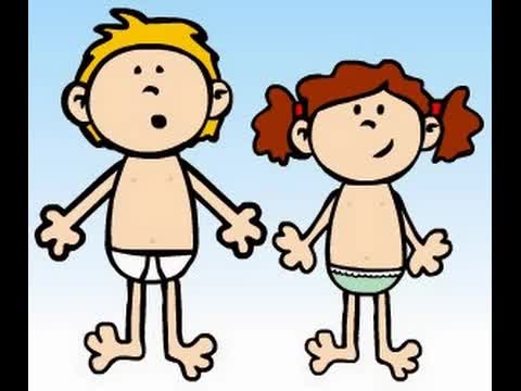 El cos humà: òrgans i sentits per a nens