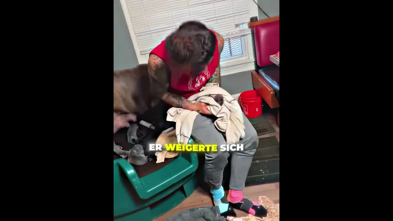 Rettung eines neugeborenen Welpen nach schwerer Geburt