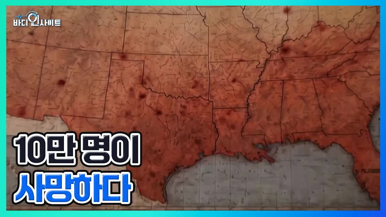 옥수수의 그림자: 미국 남부의 영양 결핍 비극