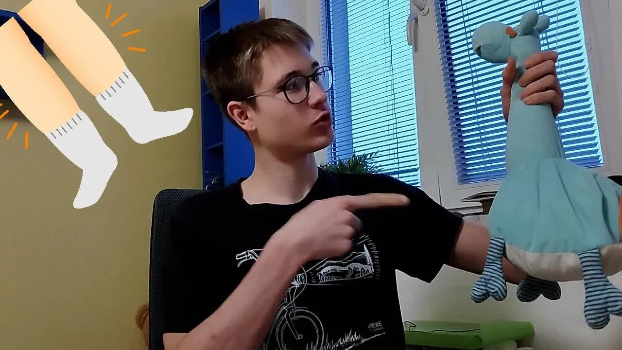 Kolik nohou mají lidé, zvířata a věci