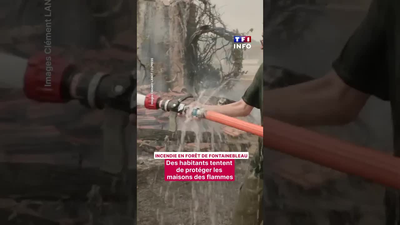 Incendie à Fontainebleau : habitants défendent leurs maisons