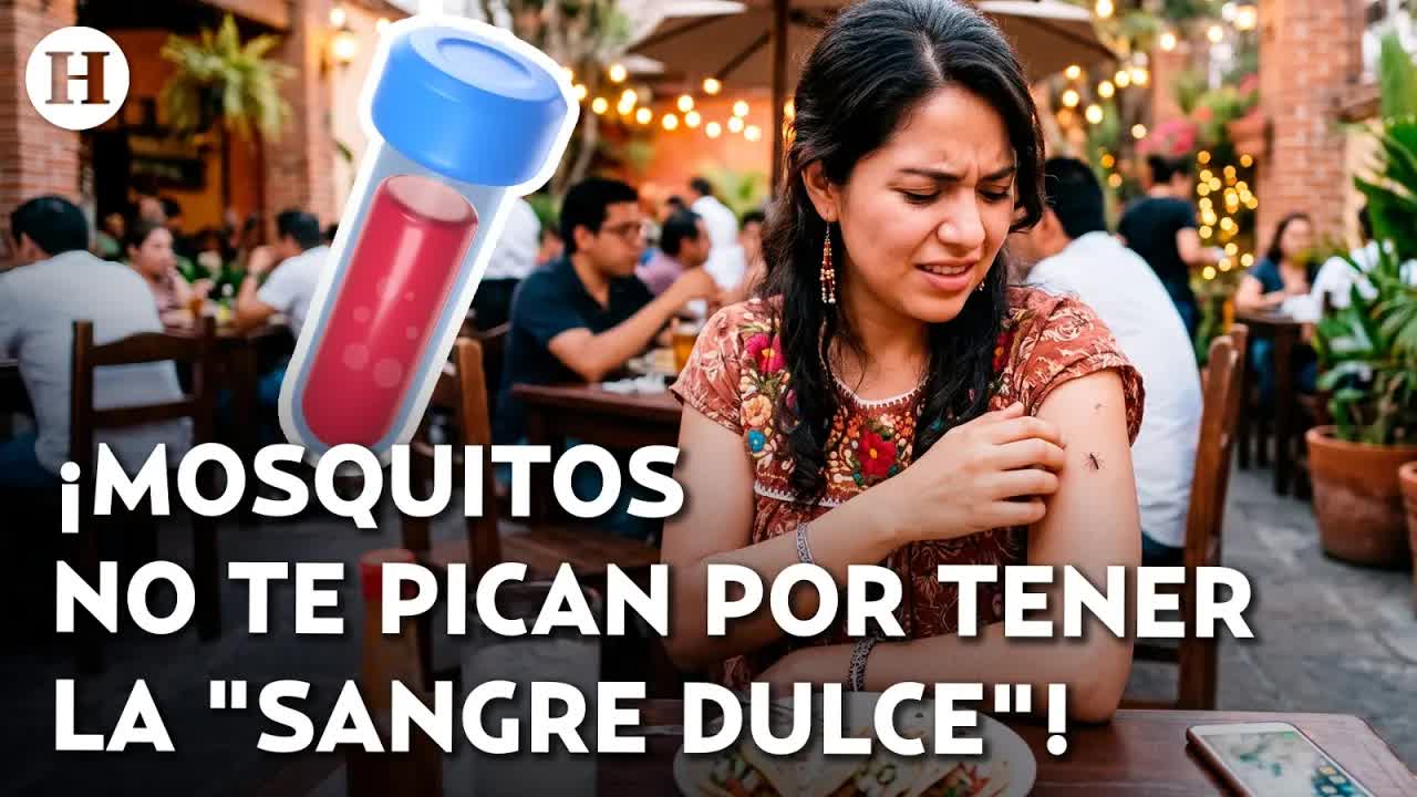 ¿Por qué los mosquitos pican más a algunas personas?