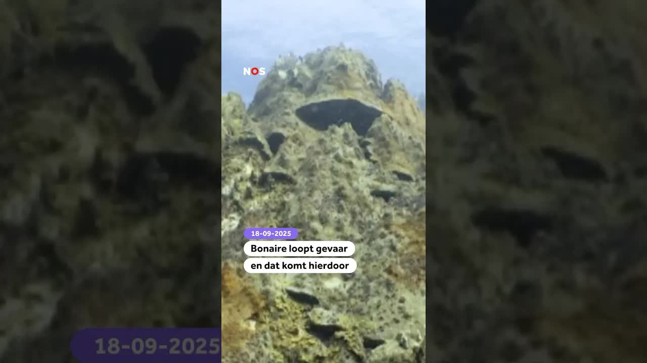 Koraalsterfte bedreigt Bonaire en overstromingen