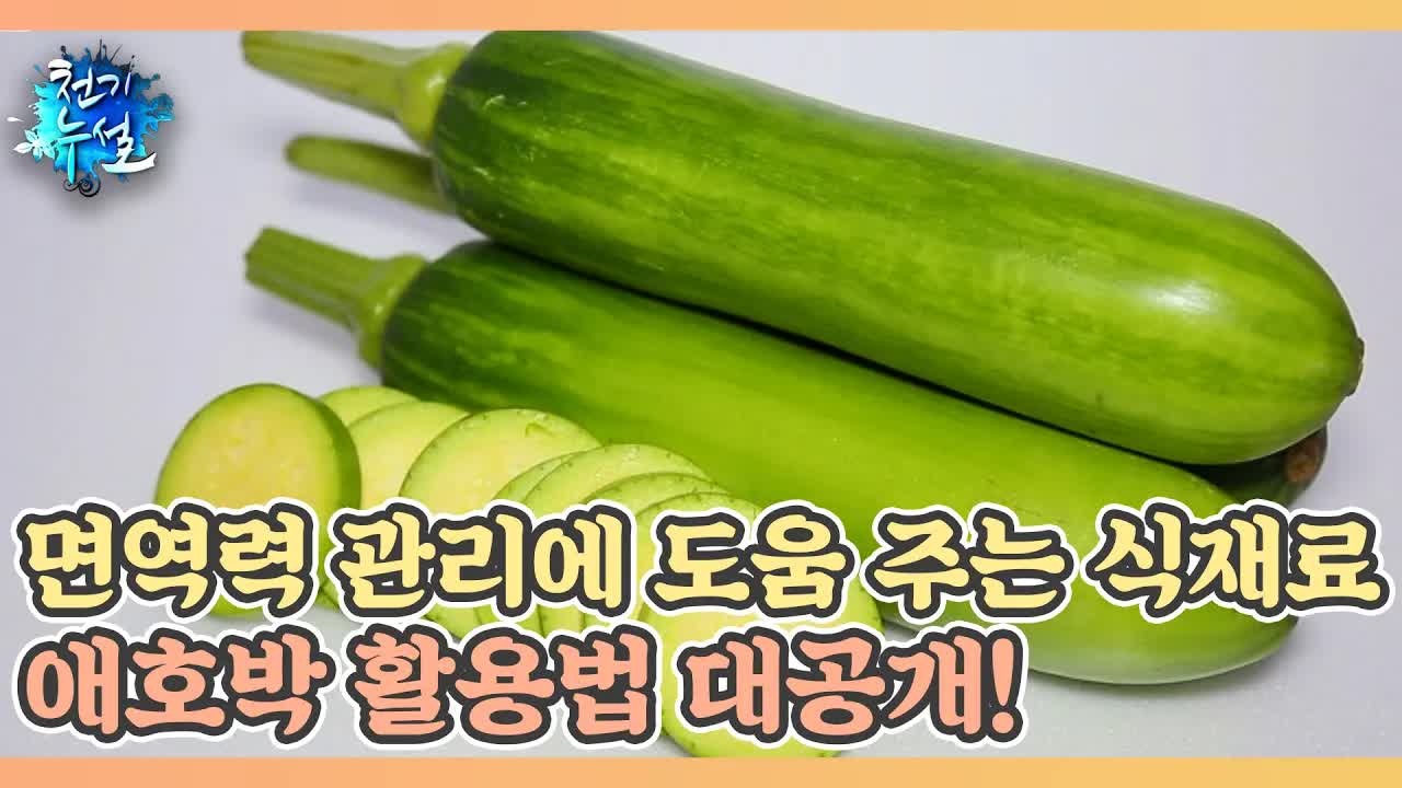 면역력에 좋은 애호박 활용법